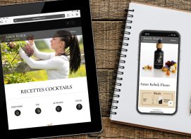 Amer Kebek Website