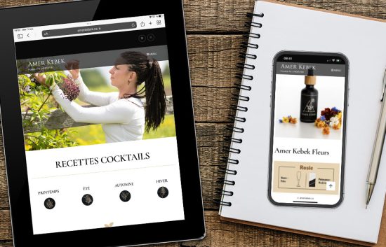 Amer Kebek Website
