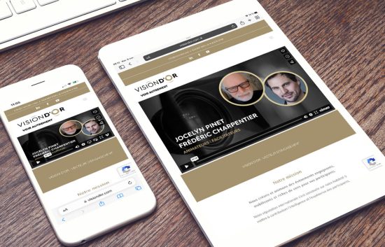 Vision d'Or Website